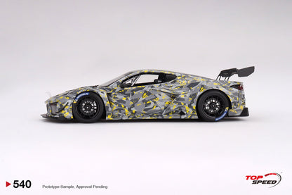 Chevrolet Corvette Z06 GT3.R 2022 Sebring Test Car
