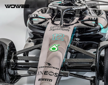 MERCEDES F1 ART MODEL