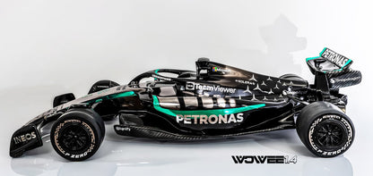 MERCEDES F1 ART MODEL