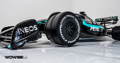 MERCEDES F1 ART MODEL