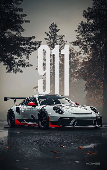 PORSCHE 911 #2