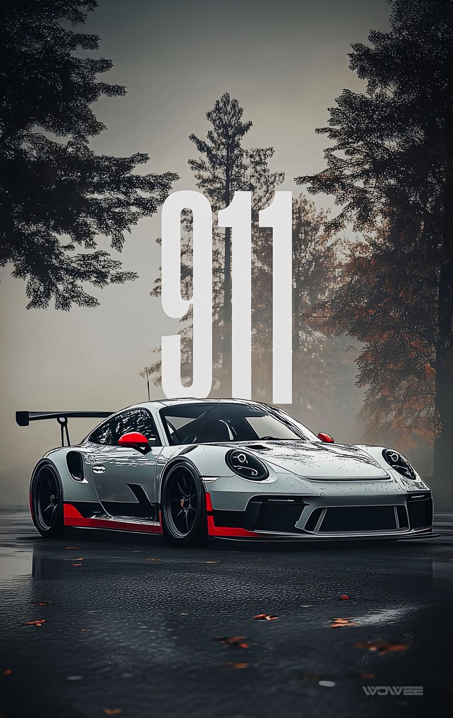 PORSCHE 911 #2