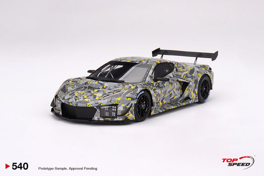 Chevrolet Corvette Z06 GT3.R 2022 Sebring Test Car