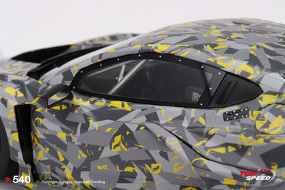 Chevrolet Corvette Z06 GT3.R 2022 Sebring Test Car